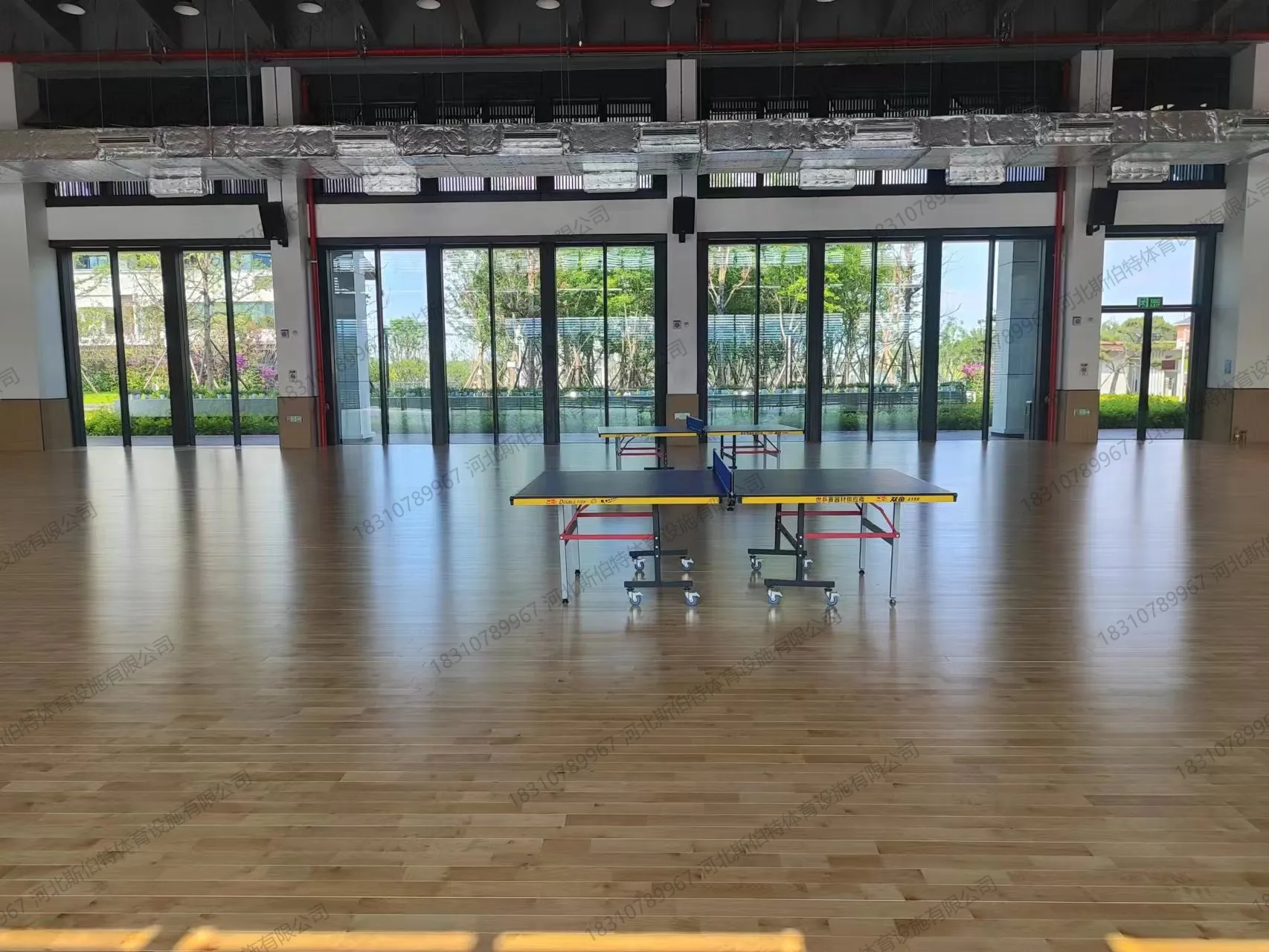 完工图：枫木运动木地板浅黄褐色，条板拼接，大面积落地窗