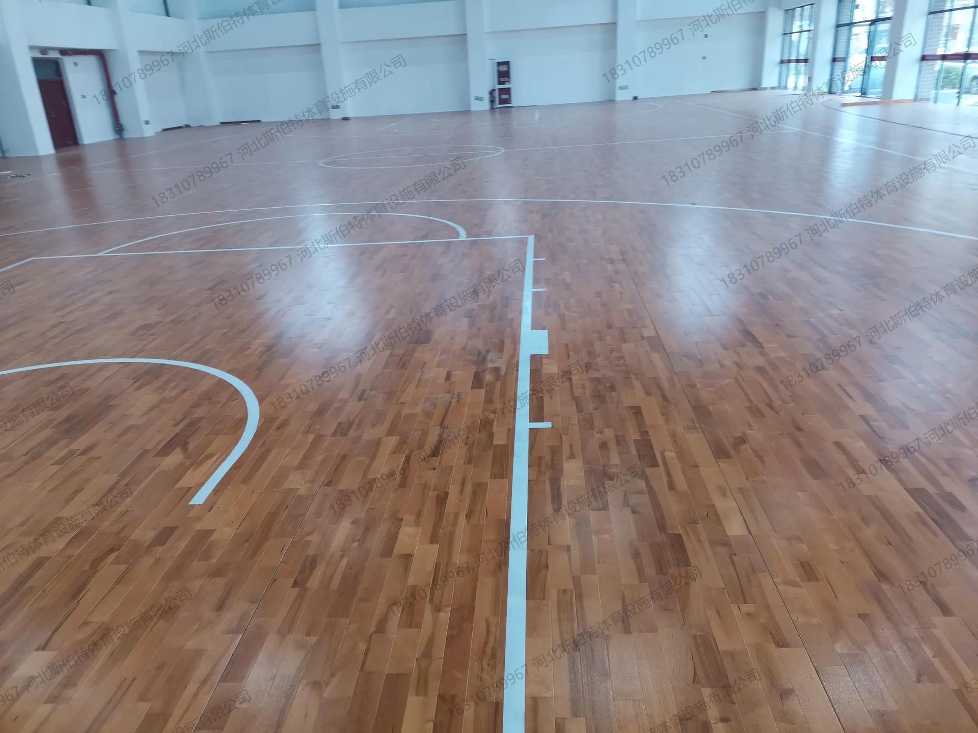 完工实景:枫桦木B级色差加色地板铺装完成,篮球场标线清晰,右侧落地窗采光充足