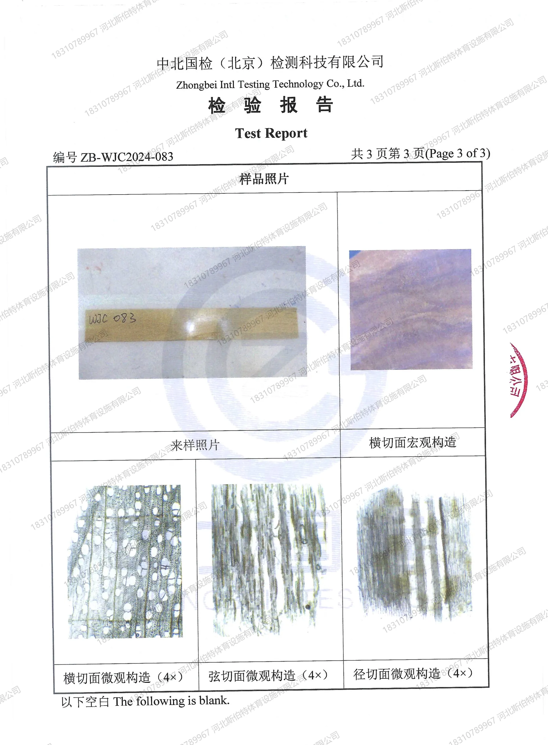 树种鉴定报告显微图示页:样品照片与横弦径三切面显微构造
