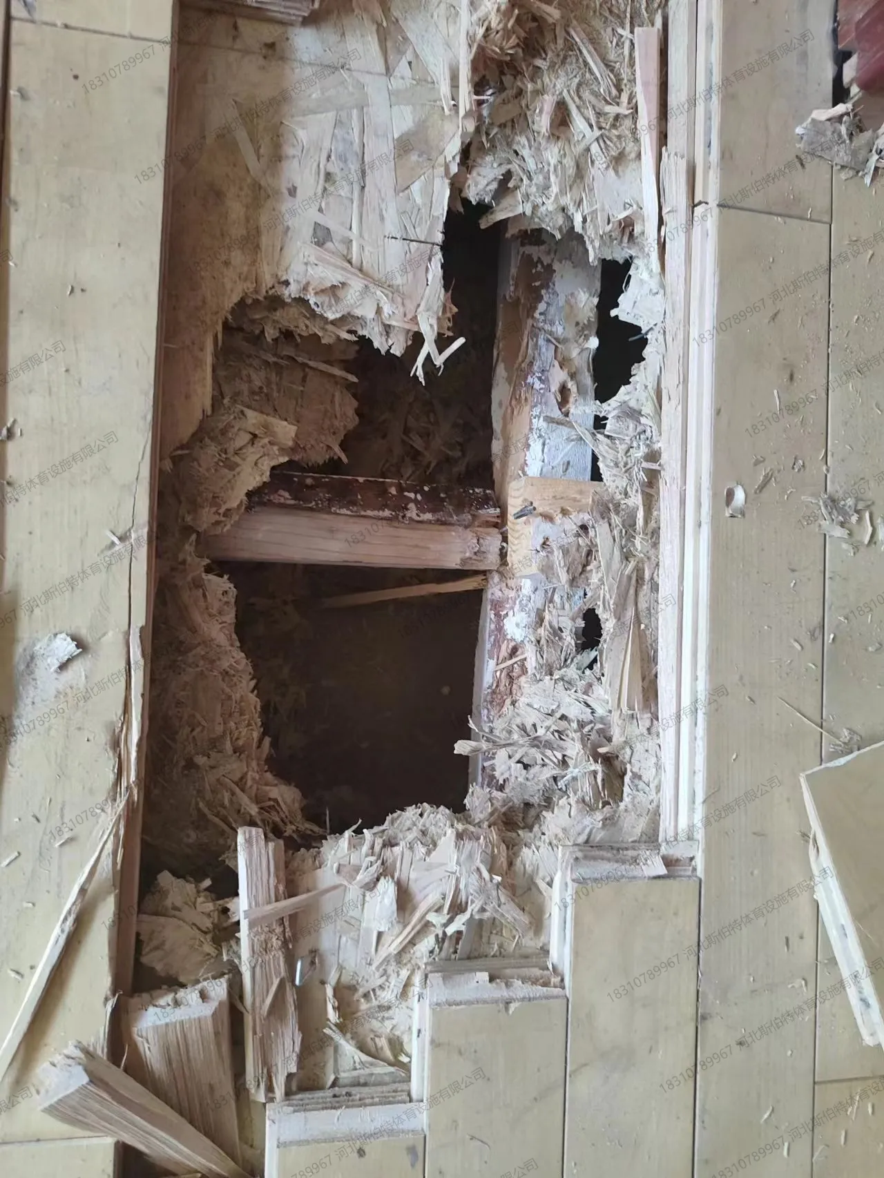 拆除旧地板：门头沟外国语学校体育馆原有老化木地板整体拆除