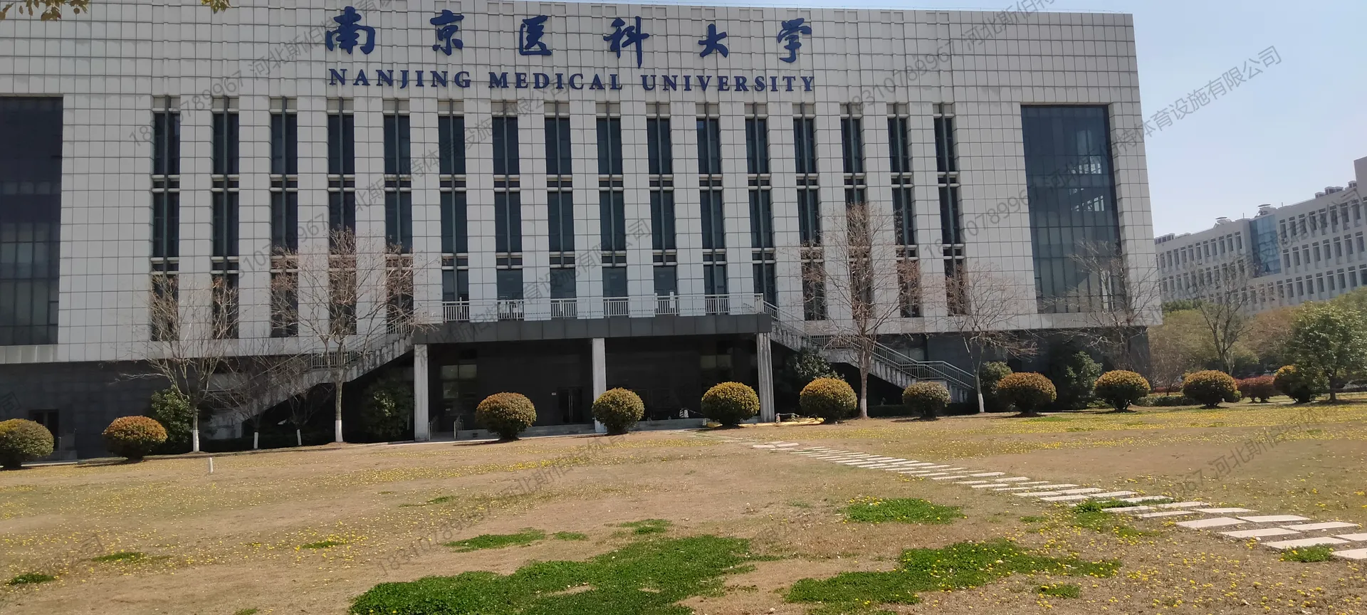 施工过程:面板铺装中,枫桦木C级板大面积铺设