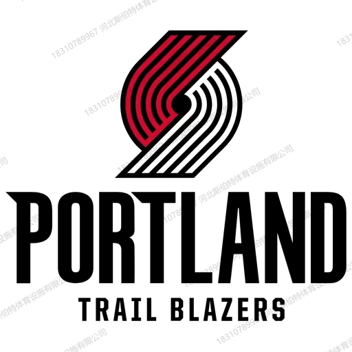NBA 球队主场木地板为什么自带品牌感?30 支队标的定制学问 - 第 20 张