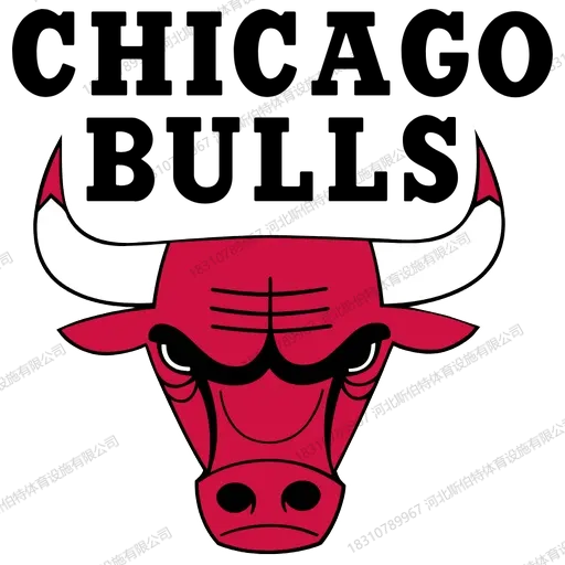 NBA 球队主场木地板为什么自带品牌感?30 支队标的定制学问 - 第 6 张