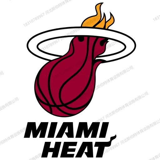 NBA 球队主场木地板为什么自带品牌感?30 支队标的定制学问 - 第 11 张
