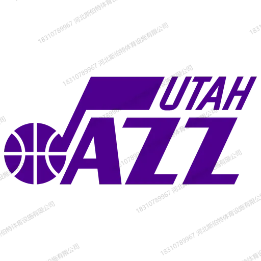 NBA 球队主场木地板为什么自带品牌感?30 支队标的定制学问 - 第 29 张