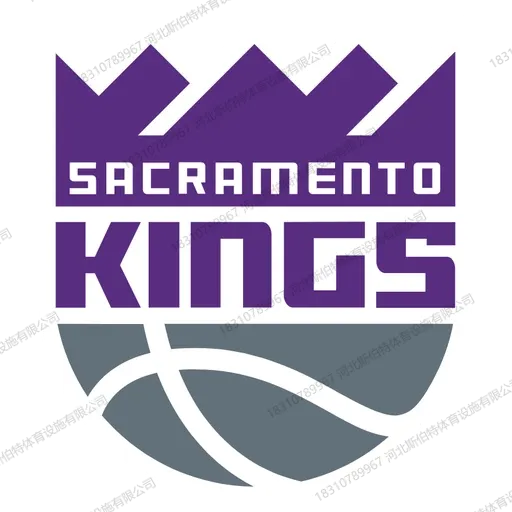 NBA 球队主场木地板为什么自带品牌感?30 支队标的定制学问 - 第 19 张