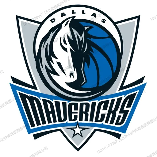 NBA 球队主场木地板为什么自带品牌感?30 支队标的定制学问 - 第 23 张