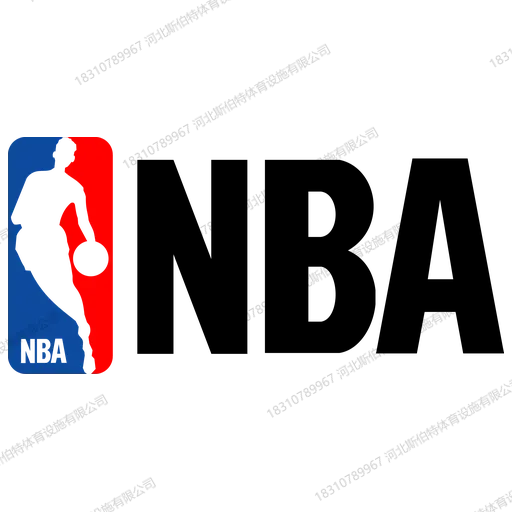 NBA 球队主场木地板为什么自带品牌感?30 支队标的定制学问 - 第 31 张