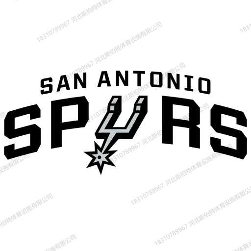 NBA 球队主场木地板为什么自带品牌感?30 支队标的定制学问 - 第 24 张
