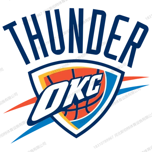 NBA 球队主场木地板为什么自带品牌感?30 支队标的定制学问 - 第 30 张